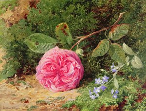 苔むした銀行のピンクのバラ、1875